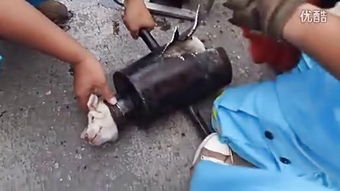 鋼管與扣件 現(xiàn)代建筑施工中的關(guān)鍵構(gòu)件